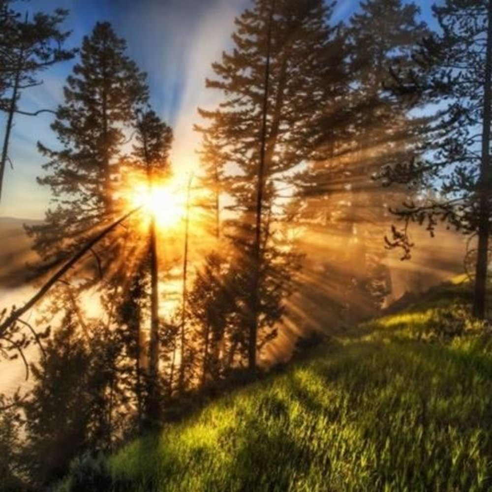 Meet your Posher, Afid